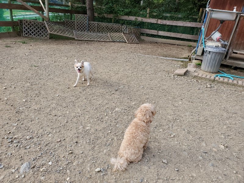 f:id:roukenhome-ann:20191002085237j:plain