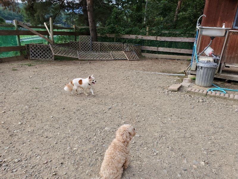 f:id:roukenhome-ann:20191002085243j:plain