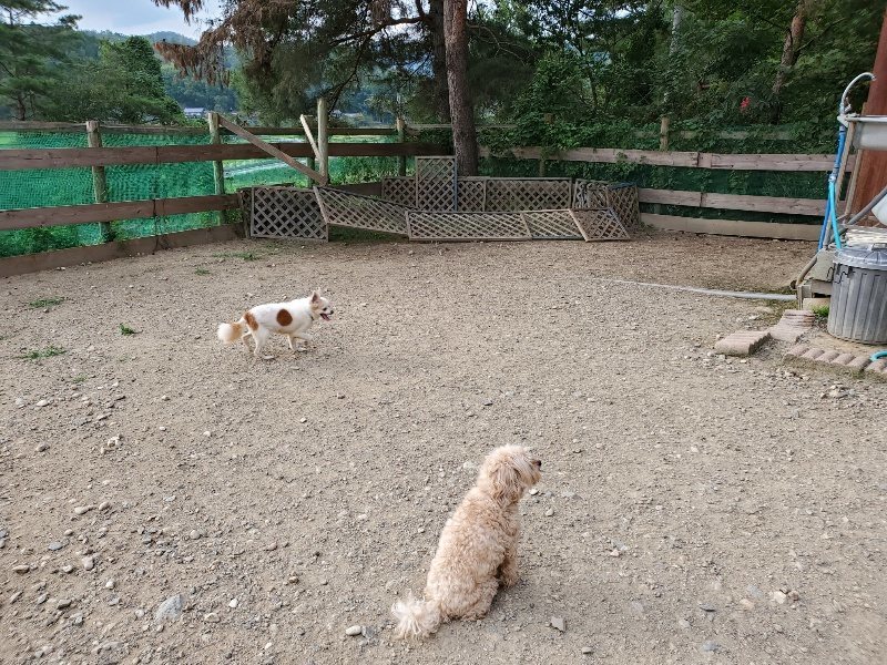 f:id:roukenhome-ann:20191002085250j:plain