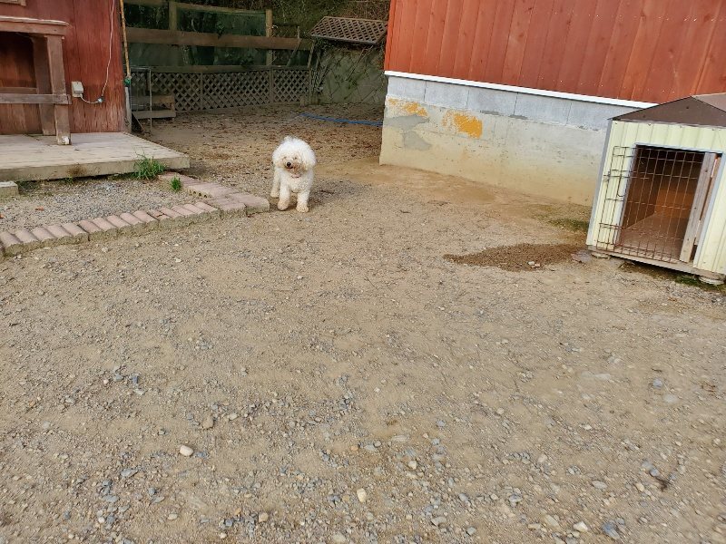 f:id:roukenhome-ann:20191002085256j:plain