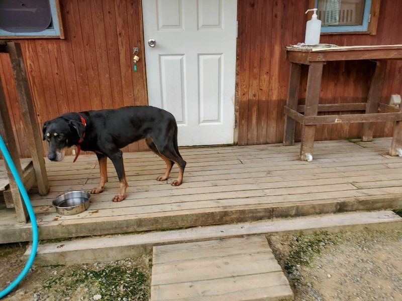 f:id:roukenhome-ann:20191002085318j:plain