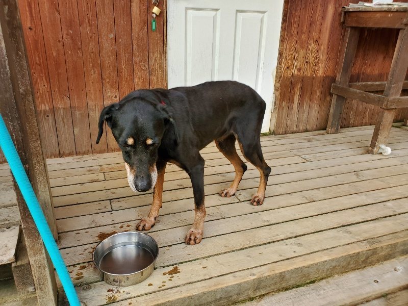 f:id:roukenhome-ann:20191002085323j:plain