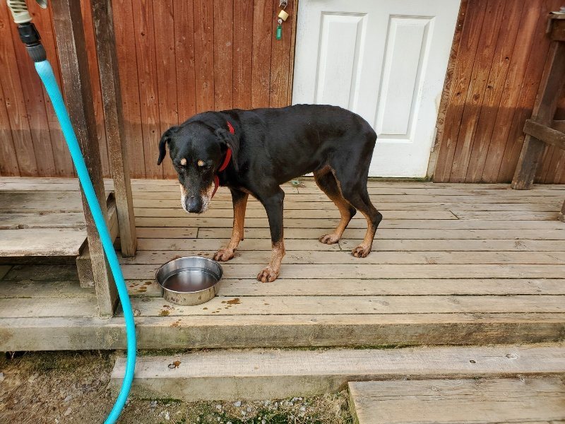 f:id:roukenhome-ann:20191002085335j:plain