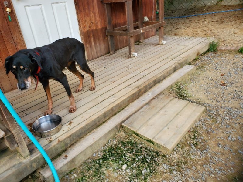 f:id:roukenhome-ann:20191002085341j:plain