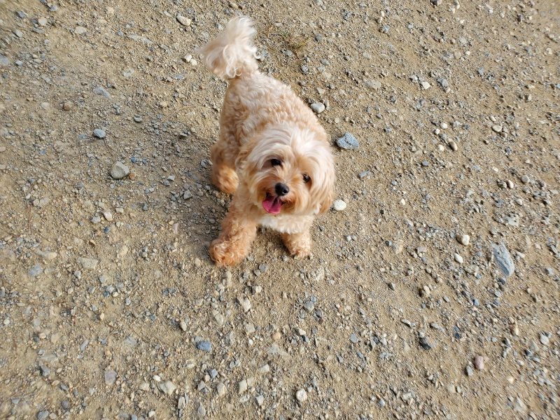 f:id:roukenhome-ann:20191002085352j:plain