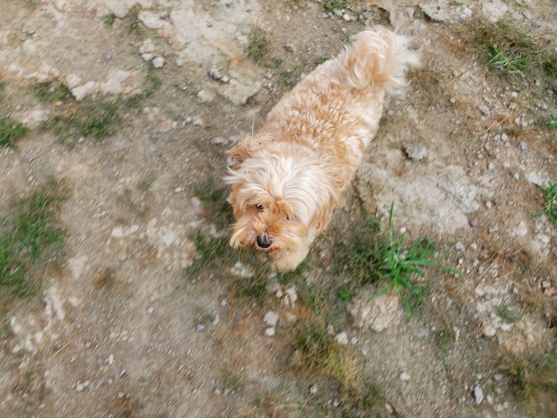 f:id:roukenhome-ann:20191002115456j:plain