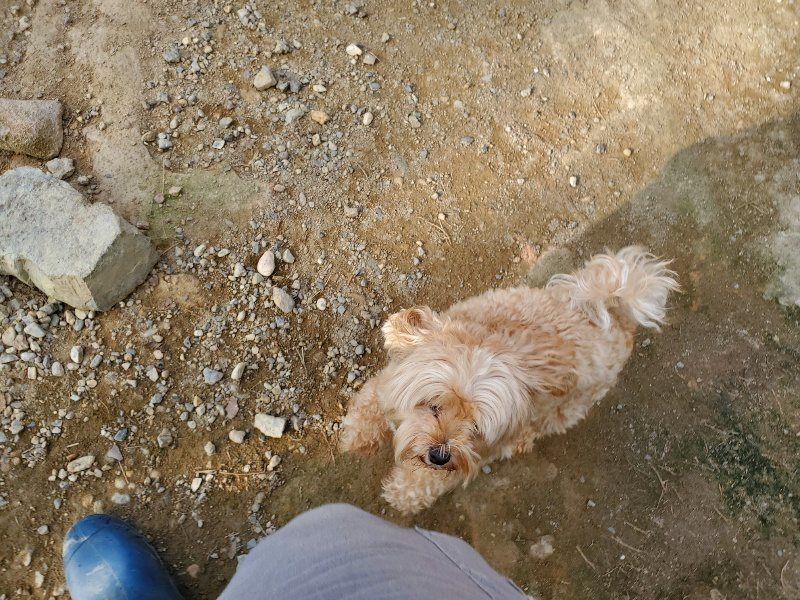 f:id:roukenhome-ann:20191002115508j:plain