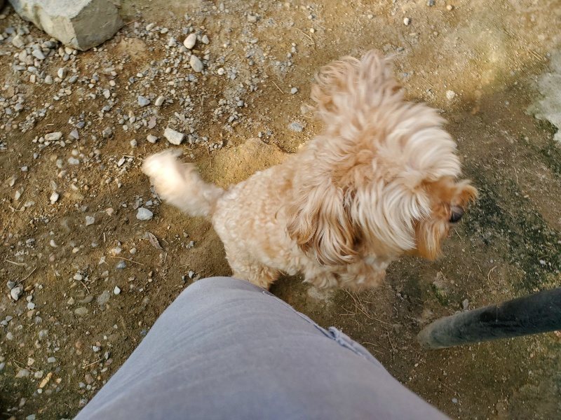 f:id:roukenhome-ann:20191002115518j:plain