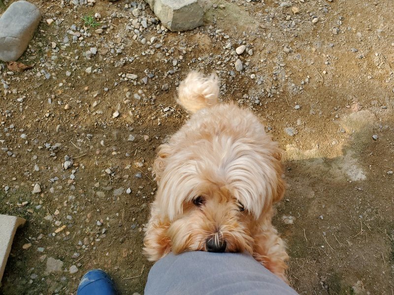 f:id:roukenhome-ann:20191002115525j:plain