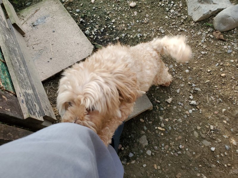 f:id:roukenhome-ann:20191002115537j:plain