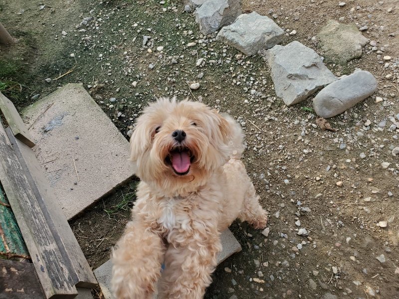 f:id:roukenhome-ann:20191002115542j:plain