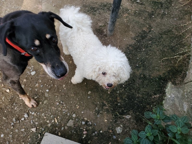 f:id:roukenhome-ann:20191002115559j:plain