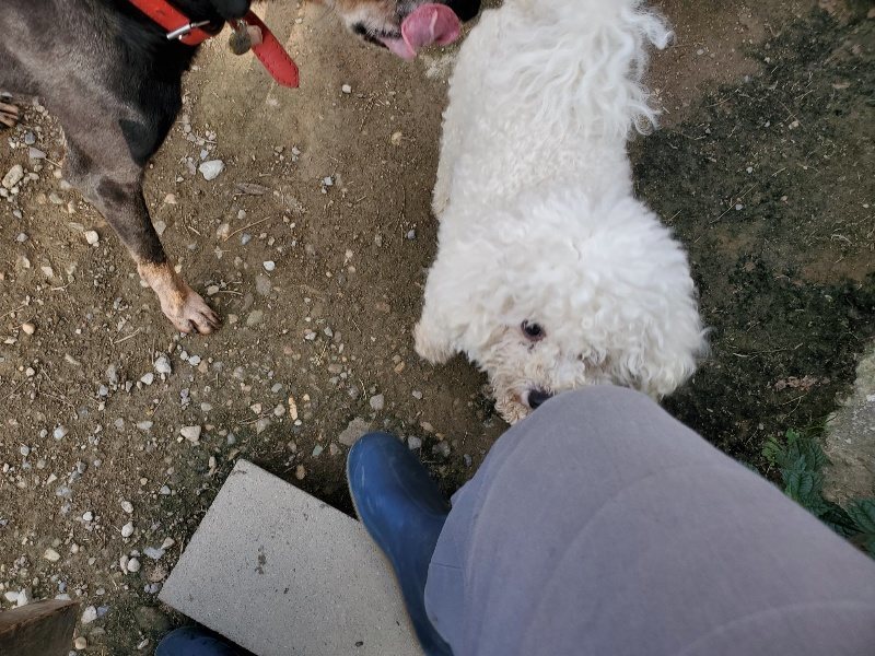 f:id:roukenhome-ann:20191002115603j:plain