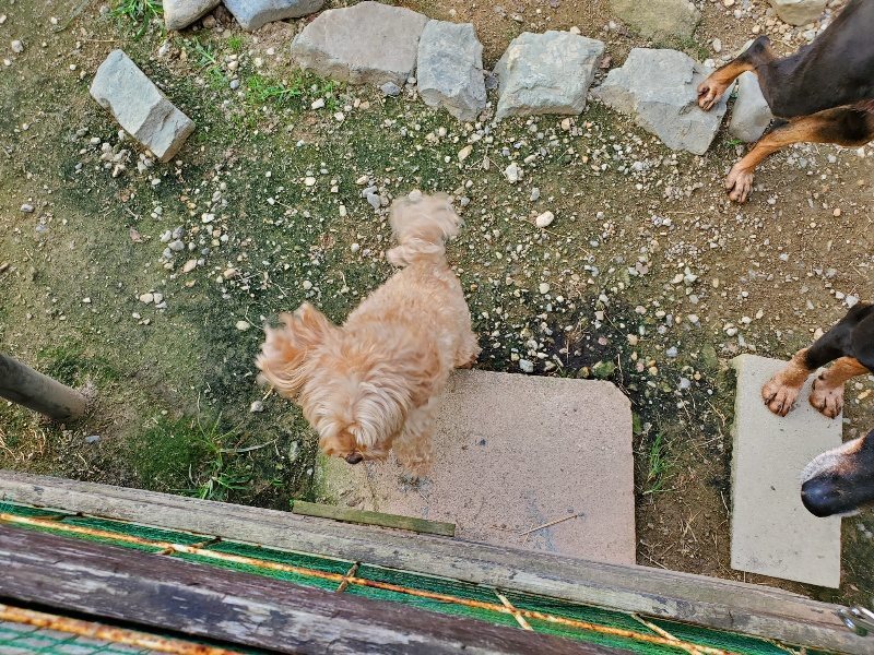 f:id:roukenhome-ann:20191002115610j:plain