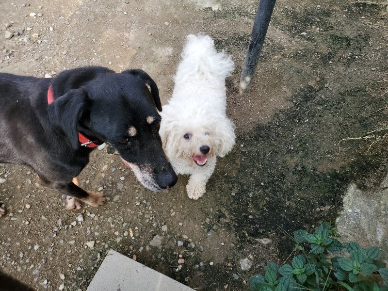 f:id:roukenhome-ann:20191002115616j:plain