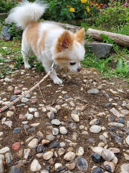 f:id:roukenhome-ann:20191002133712j:plain