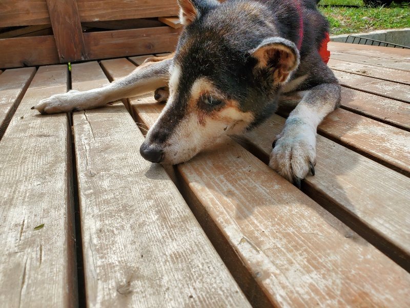 f:id:roukenhome-ann:20191002134315j:plain