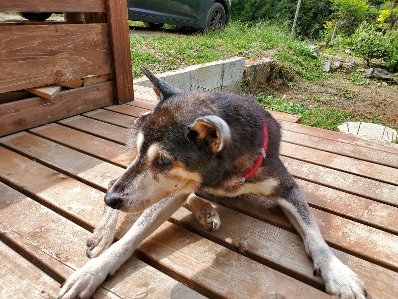 f:id:roukenhome-ann:20191002134341j:plain