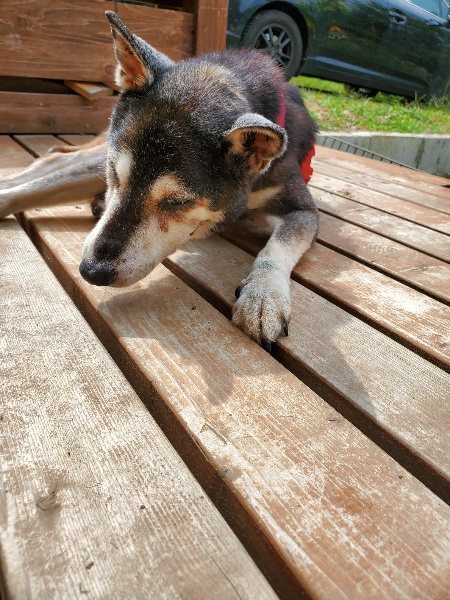 f:id:roukenhome-ann:20191002134418j:plain