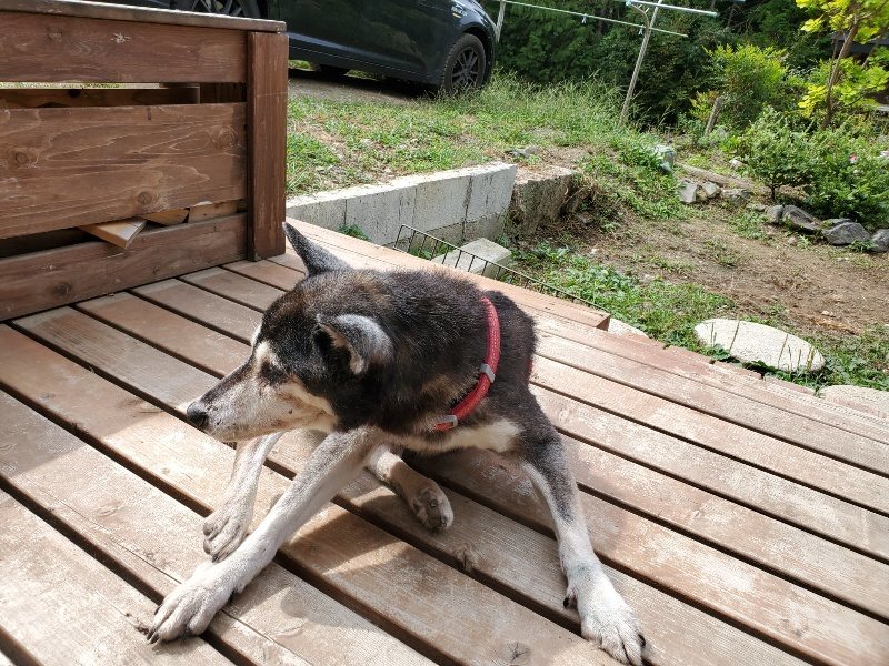 f:id:roukenhome-ann:20191002134427j:plain