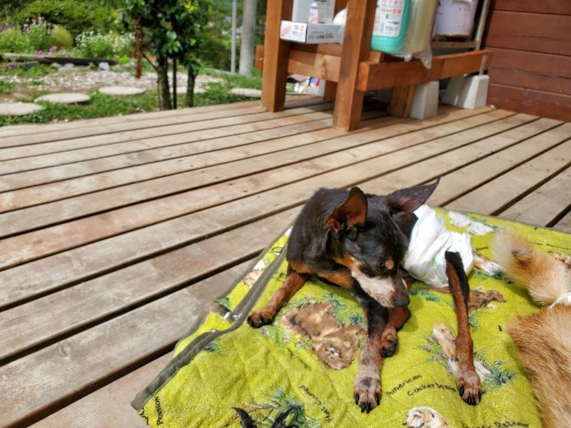 f:id:roukenhome-ann:20191002134616j:plain
