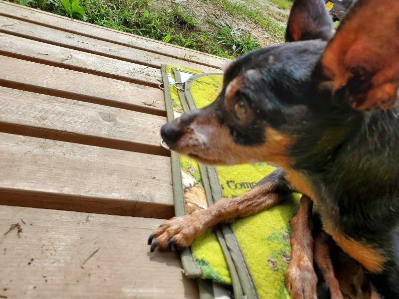 f:id:roukenhome-ann:20191002134827j:plain