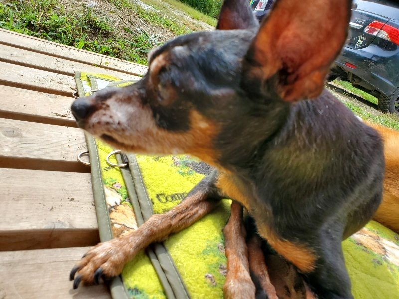 f:id:roukenhome-ann:20191002134831j:plain