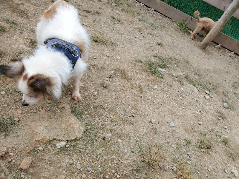 f:id:roukenhome-ann:20191002183446j:plain