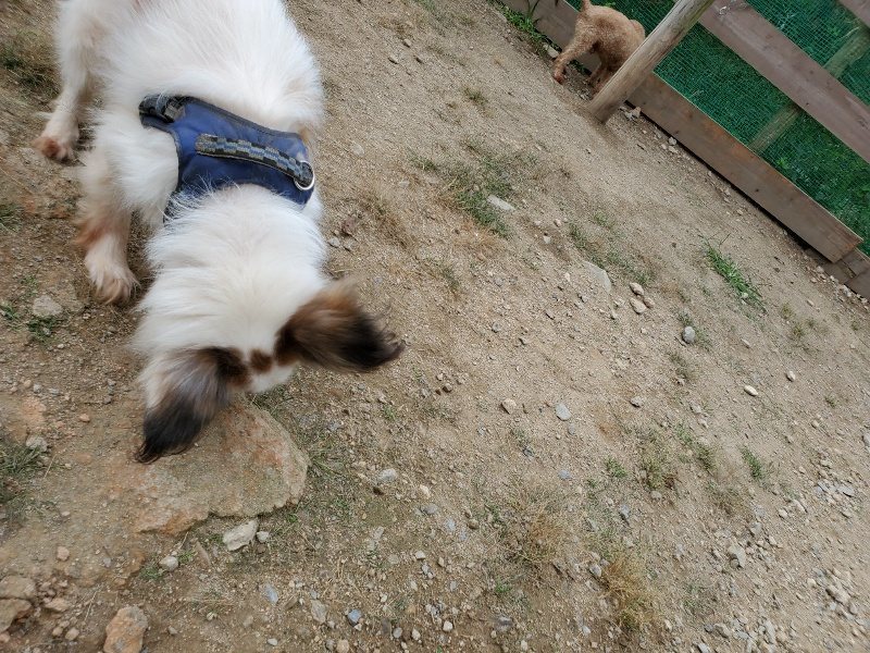 f:id:roukenhome-ann:20191002183457j:plain