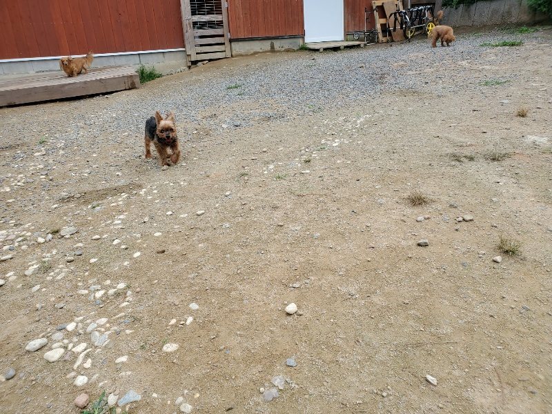 f:id:roukenhome-ann:20191002183509j:plain