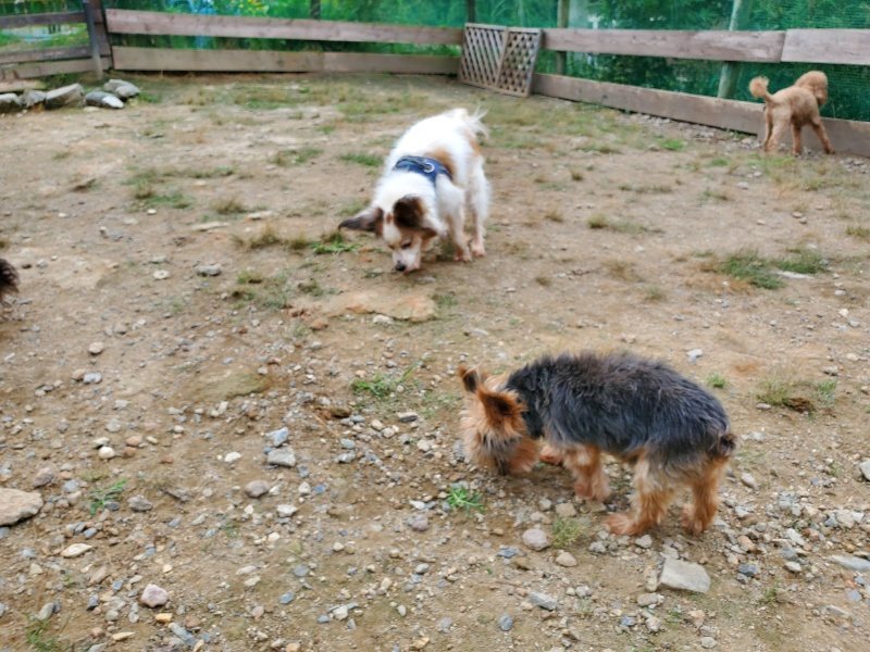 f:id:roukenhome-ann:20191002183519j:plain