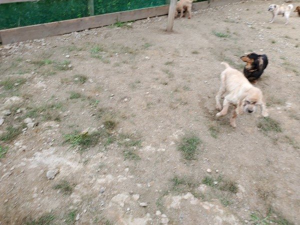 f:id:roukenhome-ann:20191002183524j:plain