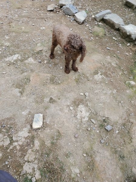 f:id:roukenhome-ann:20191002183540j:plain