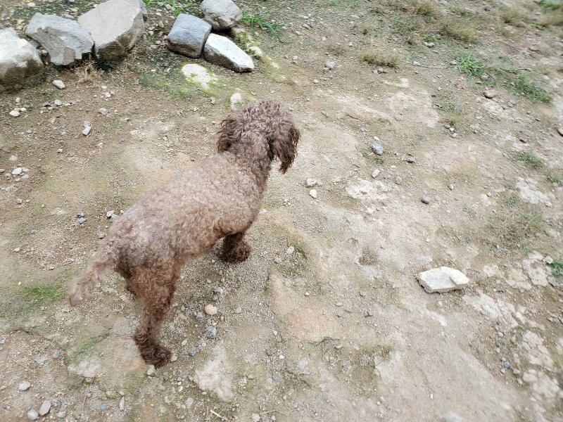 f:id:roukenhome-ann:20191002183615j:plain