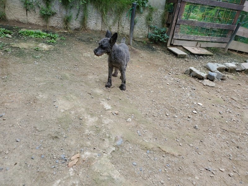 f:id:roukenhome-ann:20191002183652j:plain