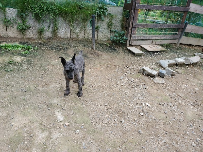 f:id:roukenhome-ann:20191002183703j:plain