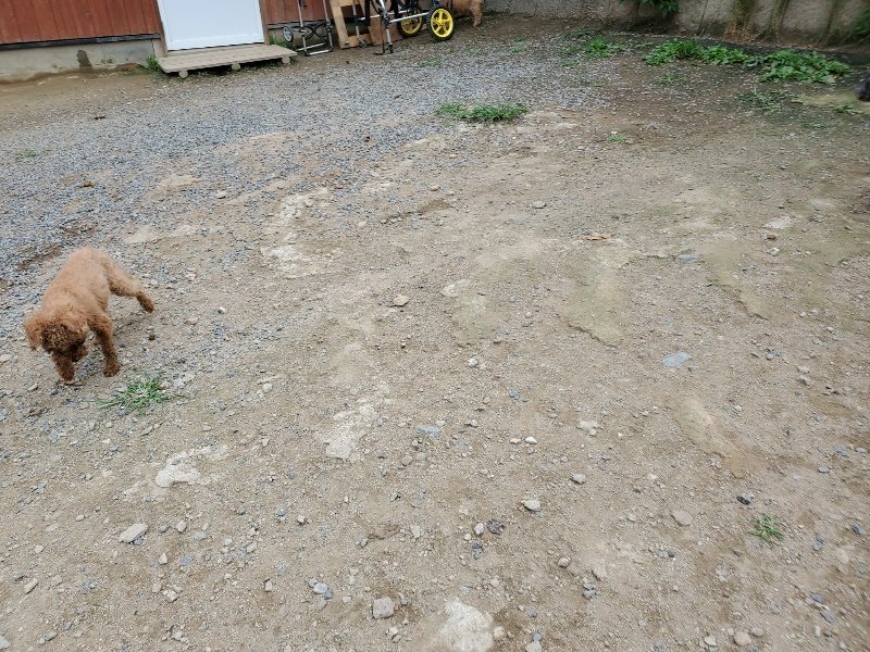f:id:roukenhome-ann:20191002183723j:plain