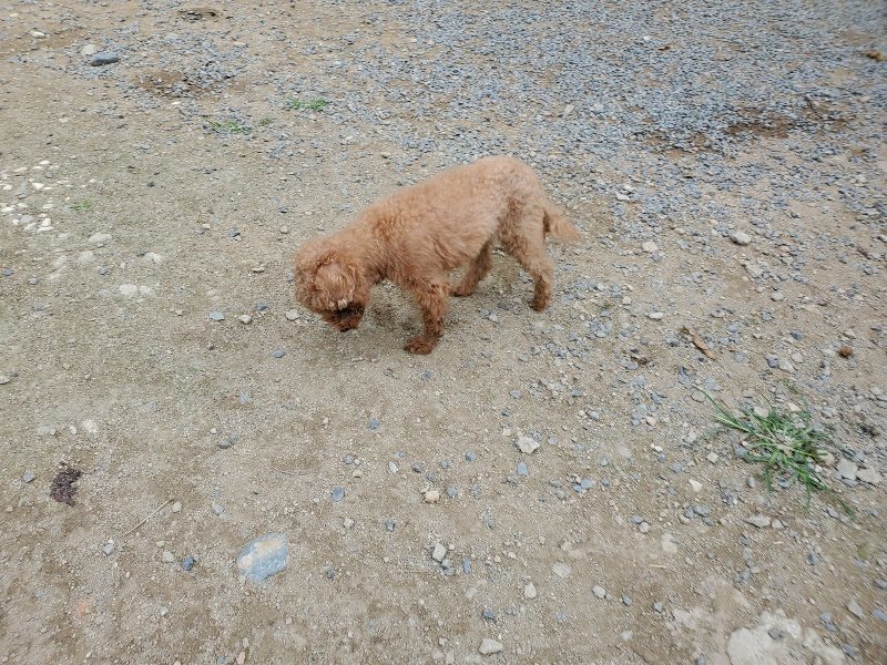 f:id:roukenhome-ann:20191002183733j:plain