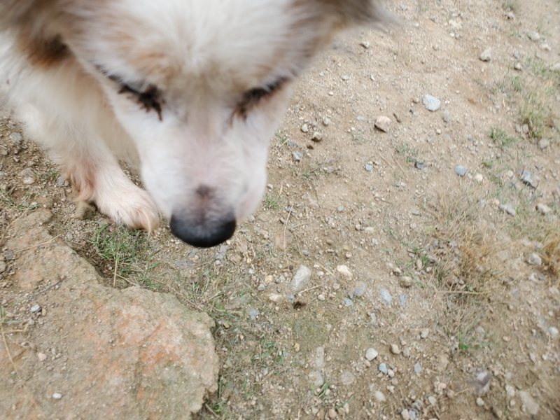 f:id:roukenhome-ann:20191002183753j:plain