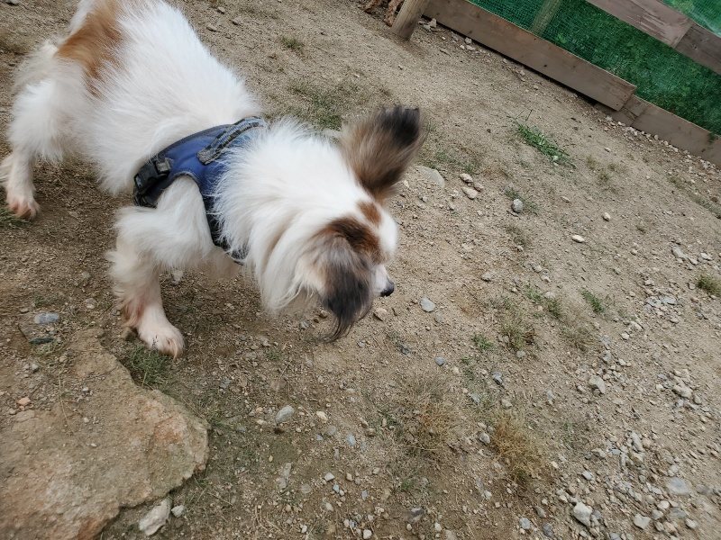 f:id:roukenhome-ann:20191002183803j:plain