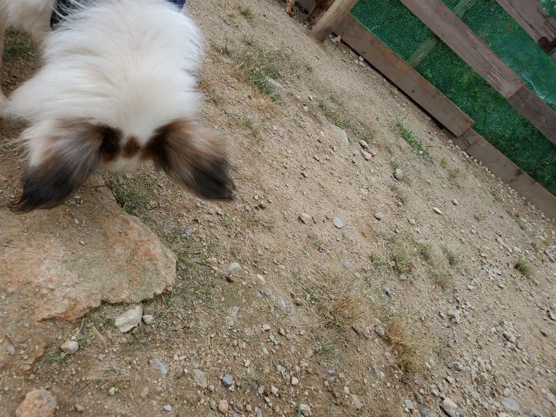f:id:roukenhome-ann:20191002183810j:plain