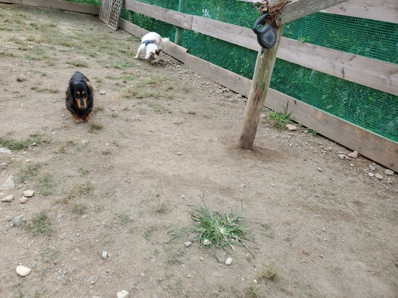f:id:roukenhome-ann:20191002184112j:plain