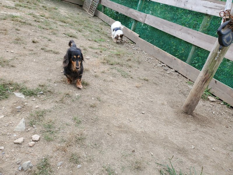 f:id:roukenhome-ann:20191002184121j:plain