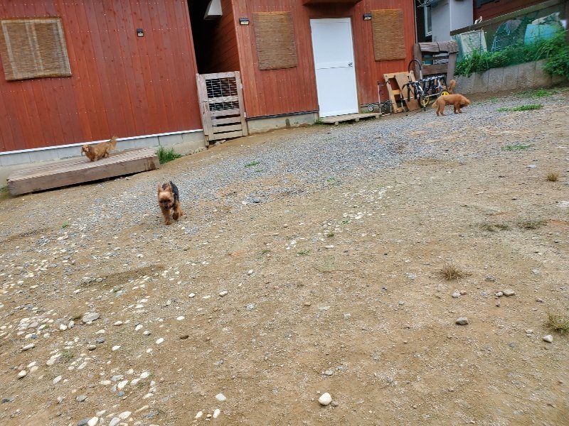 f:id:roukenhome-ann:20191002184140j:plain