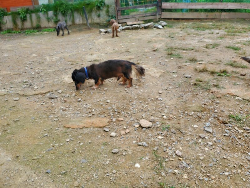 f:id:roukenhome-ann:20191002184154j:plain
