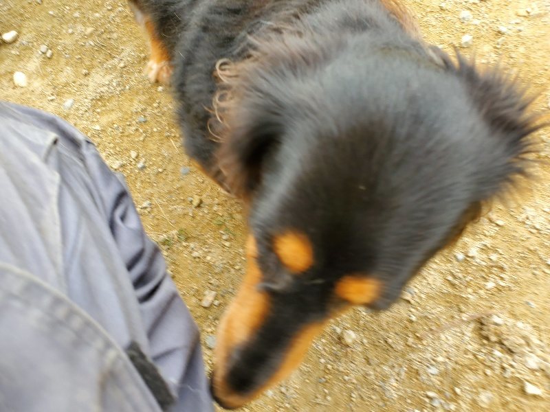 f:id:roukenhome-ann:20191002184208j:plain
