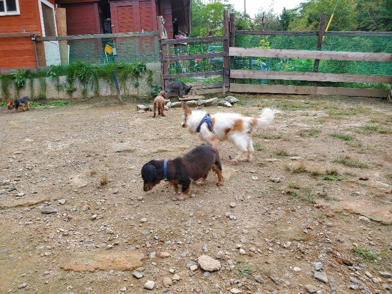f:id:roukenhome-ann:20191002184232j:plain