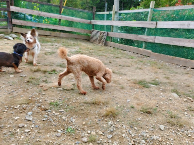 f:id:roukenhome-ann:20191002184248j:plain