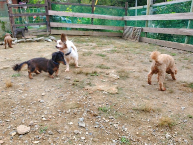 f:id:roukenhome-ann:20191002184303j:plain