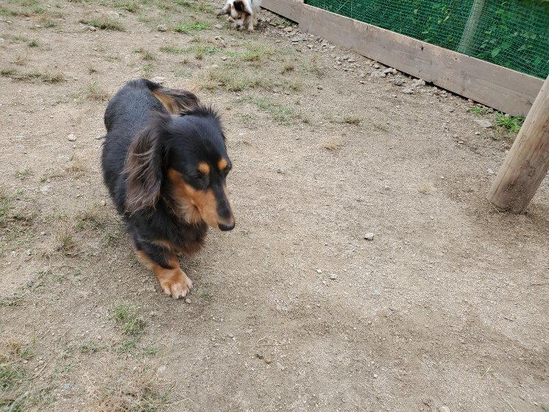 f:id:roukenhome-ann:20191002184430j:plain